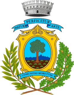 Stemma di Moretta