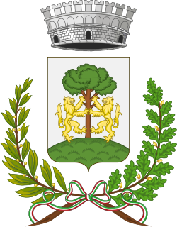 Stemma di Valle dell'Angelo